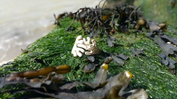 Kelp Ring by Rob Morris