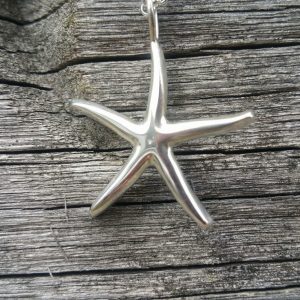 Starfish